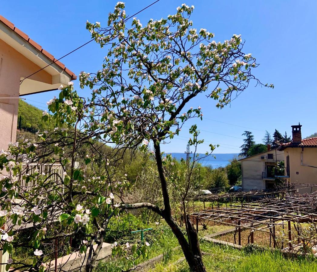 Villa Flamingo Mošćenička Draga Exteriér fotografie
