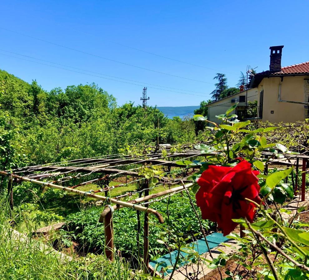 Villa Flamingo Mošćenička Draga Exteriér fotografie